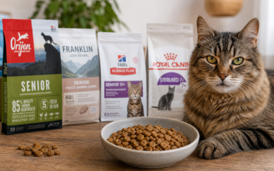 Meilleures marques de protéines pour chat senior (comparatif complet)