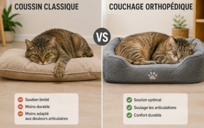 Coussin classique vs couchage orthopédique pour chat senior : lequel choisir pour son confort ?
